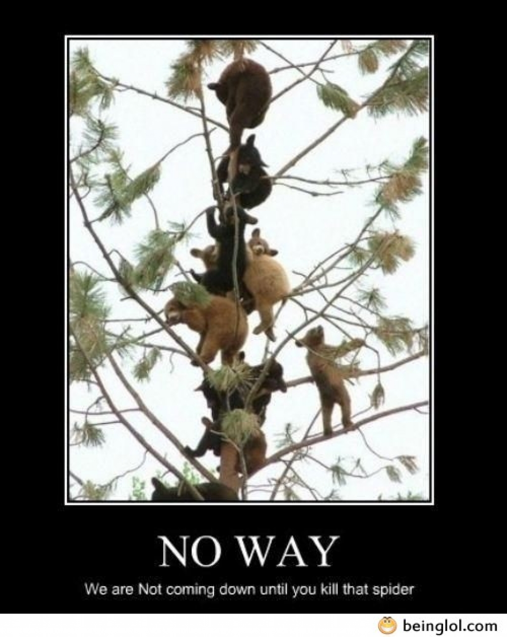 лес юмор. анекдоты про лес. смешные леса. смешное про лес. дерево демотиватор.