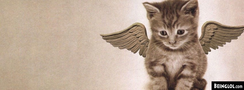 Angel Kitty Facebook Covers