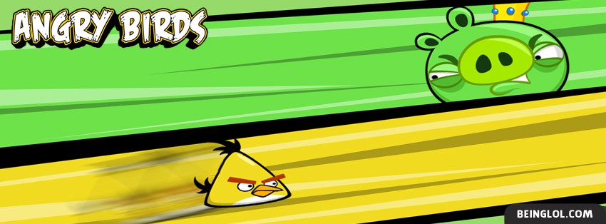Angry Birds 4 Facebook Covers