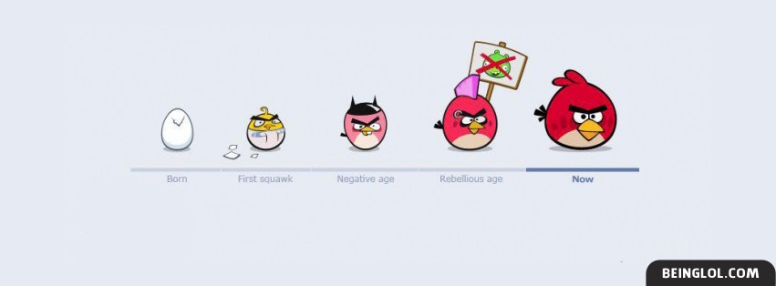 Angry Birds Facebook Covers