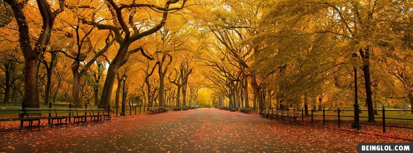Autumn Trees Facebook Covers