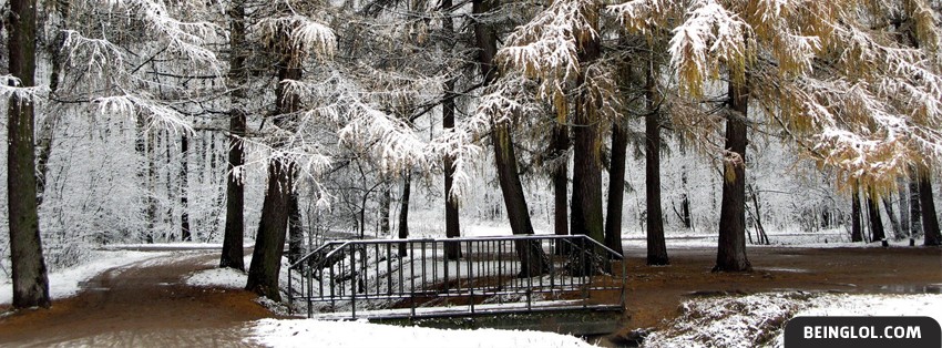 Beautiful Winter Snowy Forest 2 Facebook Covers