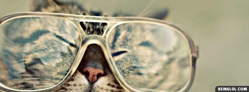 Cat Sunglasses Facebook Covers