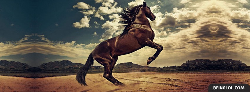 Mighty Horse Facebook Covers