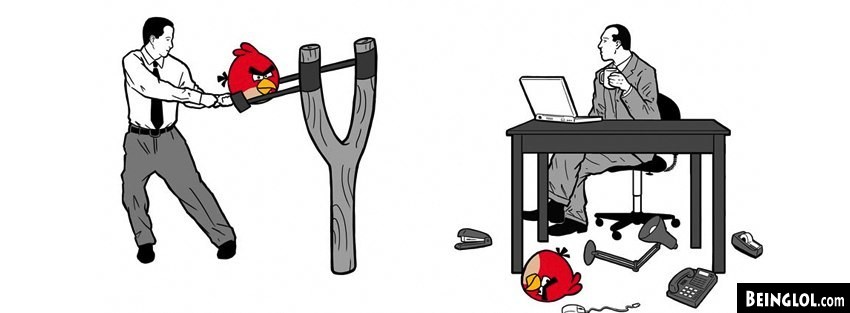 Office Angry Birds Facebook Covers
