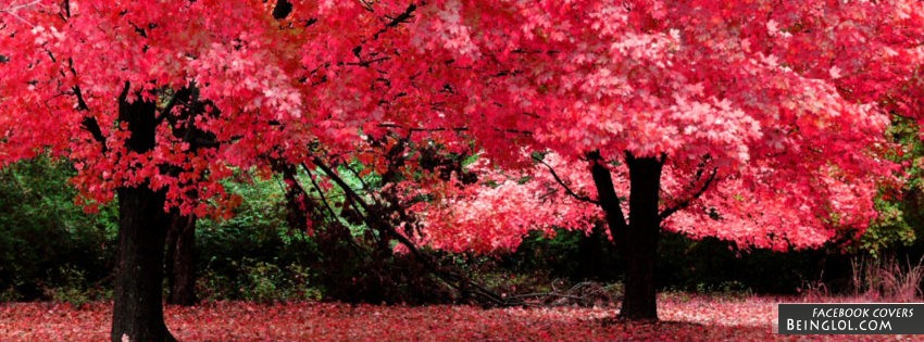 Pink Autumn
