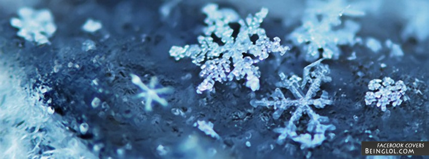 Pretty Snow Flakes Facebook Covers