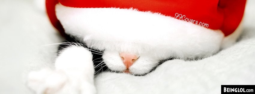Santa Hat Cat Facebook Covers