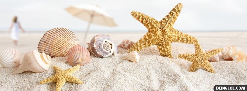 Seashells And Starfish Facebook Covers