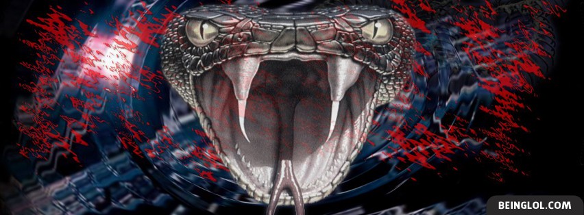 Snake Facebook Covers