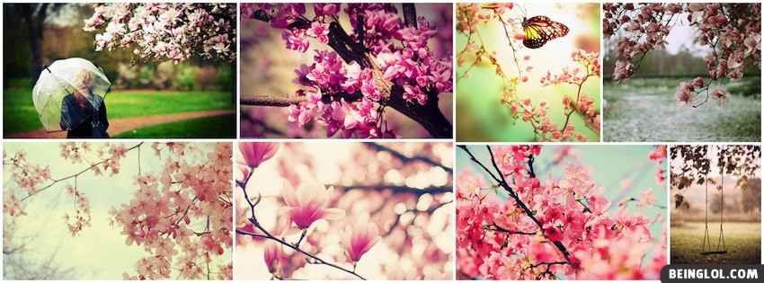 Springtime Collage Facebook Covers