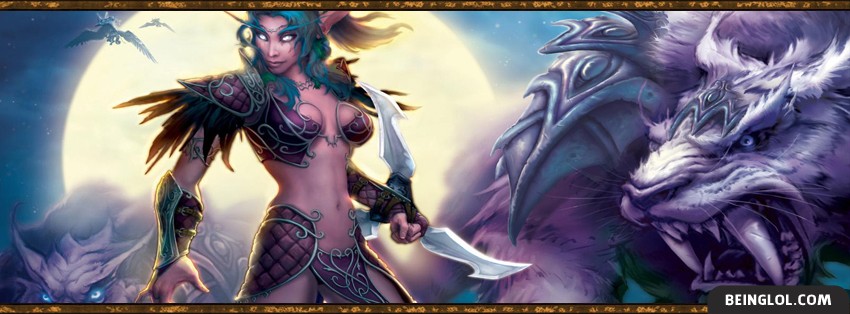 Warcraft Facebook Covers