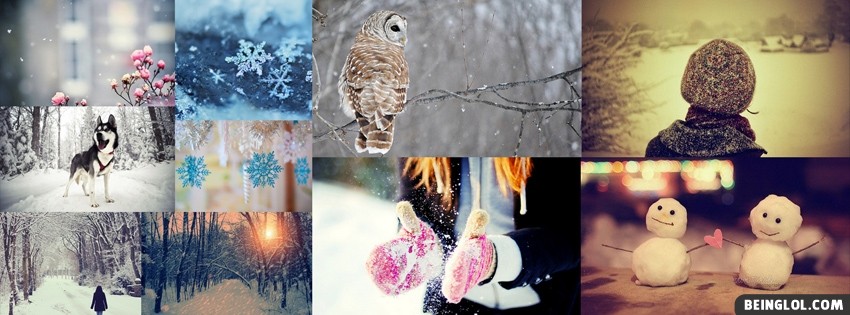 Winter Collage