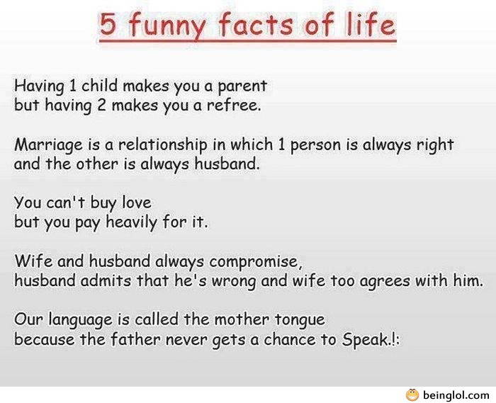 5 Funny Facts of Life