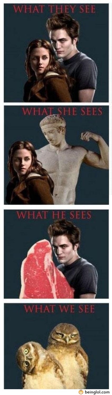 What We See In Twilight Movie?