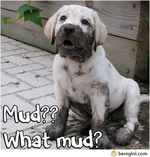 What Mud?