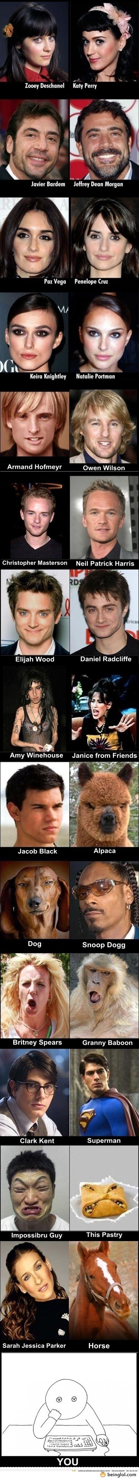 Celebrity Look-a-Likes.