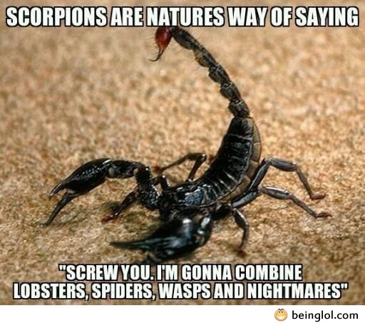 Sc*mbag Scorpions