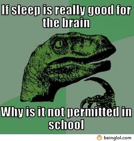 If Sleep Is Really Good For the Brain