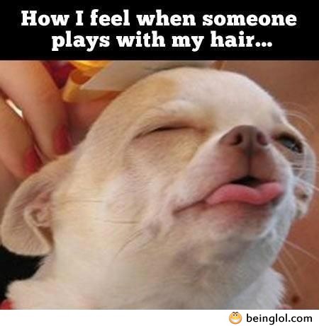 How I Feel When Someone Plays with My Hair