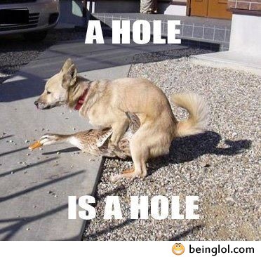 A Hole Is a Hole