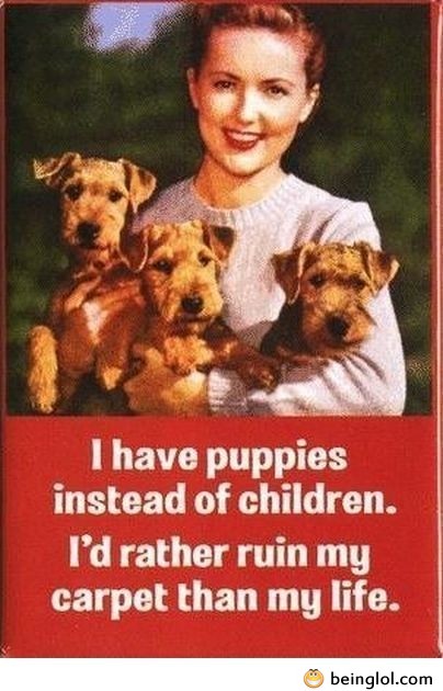 I Have Puppies Instead of Children