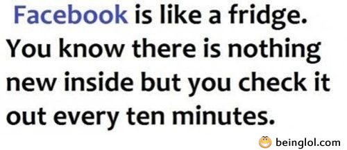 Facebook Is Like a Fridge