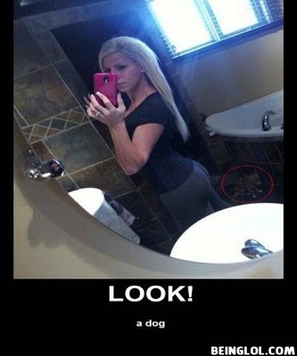 Lol Look Closely !