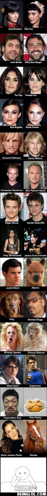 Celebrity Look a Likes.
