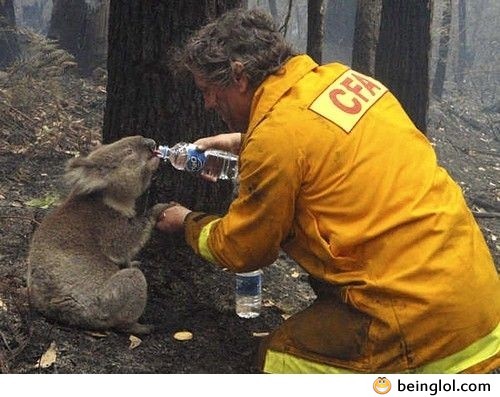 This Is From a Few Years Back During Some Pretty Severe Bushfires, But It Still Gets Me Everytime