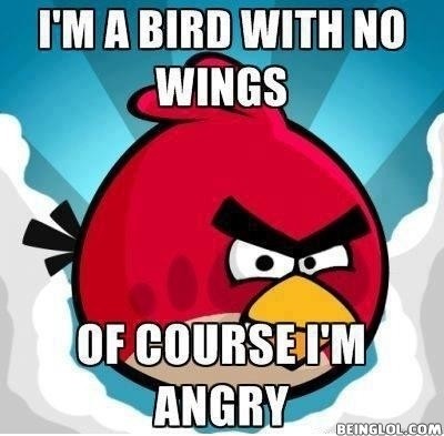 The Reason Why the Angry Birds Are Always Angry!