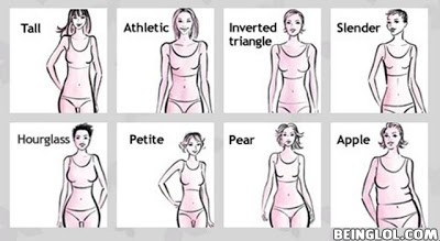 Female Body Types ...