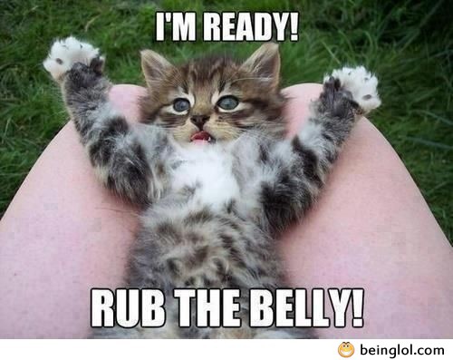 Rub the Belly Now!