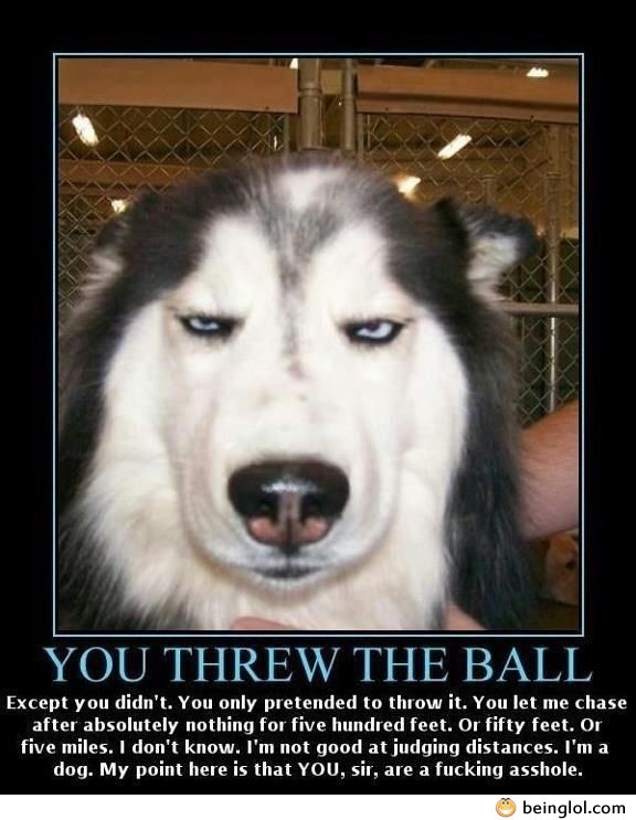 You Threw the Ball