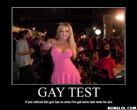 Gay Test.