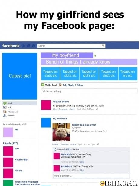 How My Girlfriend Sees My Facebook Page