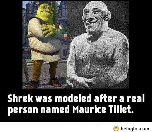 Did You Know That Shrek Was Modeled After A.....