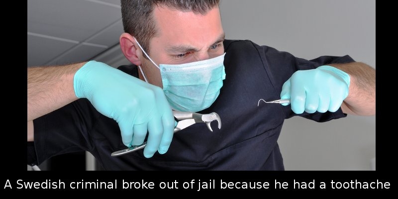 Did You Know That a Swedish Criminal Broke Out of Jail Because He Had A…