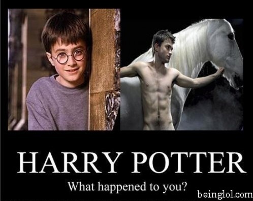Harry Potter ! What Have You Done??