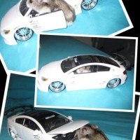 Hamster Got His Own Ride