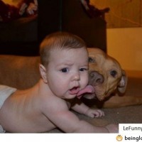 Licked By A Dog