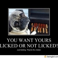 Licked Or Not Licked?