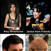 Celebrity Look-a-likes.