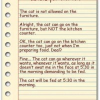 Rules For The Cat