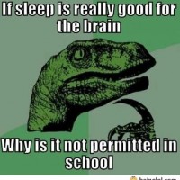 If Sleep Is Really Good For The Brain