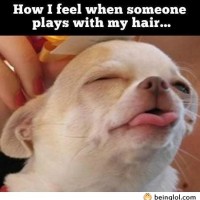How I Feel When Someone Plays With My Hair