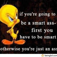 If You’re Going To Be A Smart Ass