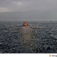 Swimming In The Lake During A Storm