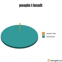 People I Insult