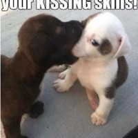 We Need To Work On Your Kissing Skills